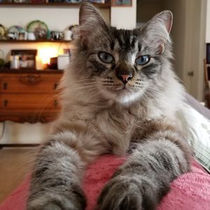 Meet your Posher, Bonnie